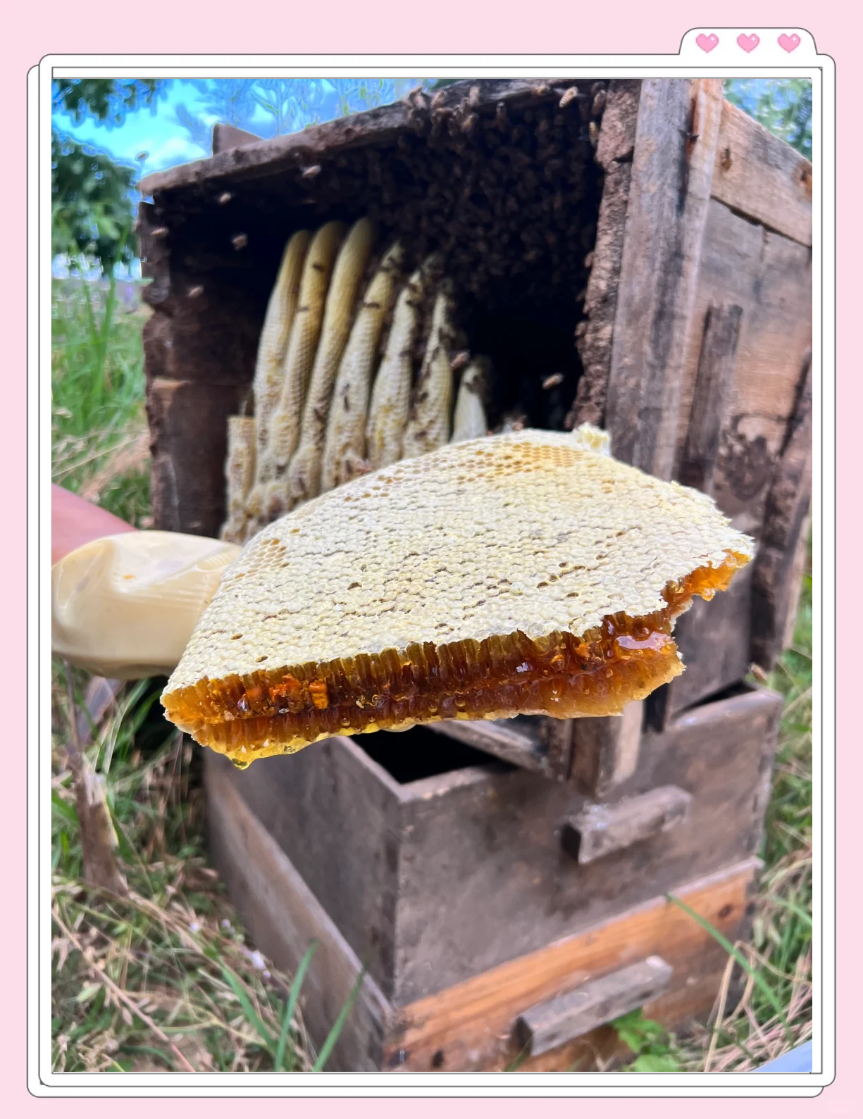 蜂蜜柠檬隔夜能不能喝?从保存方式看更靠谱 蜂蜜柠檬隔夜能不能喝?从保存方式看更靠谱