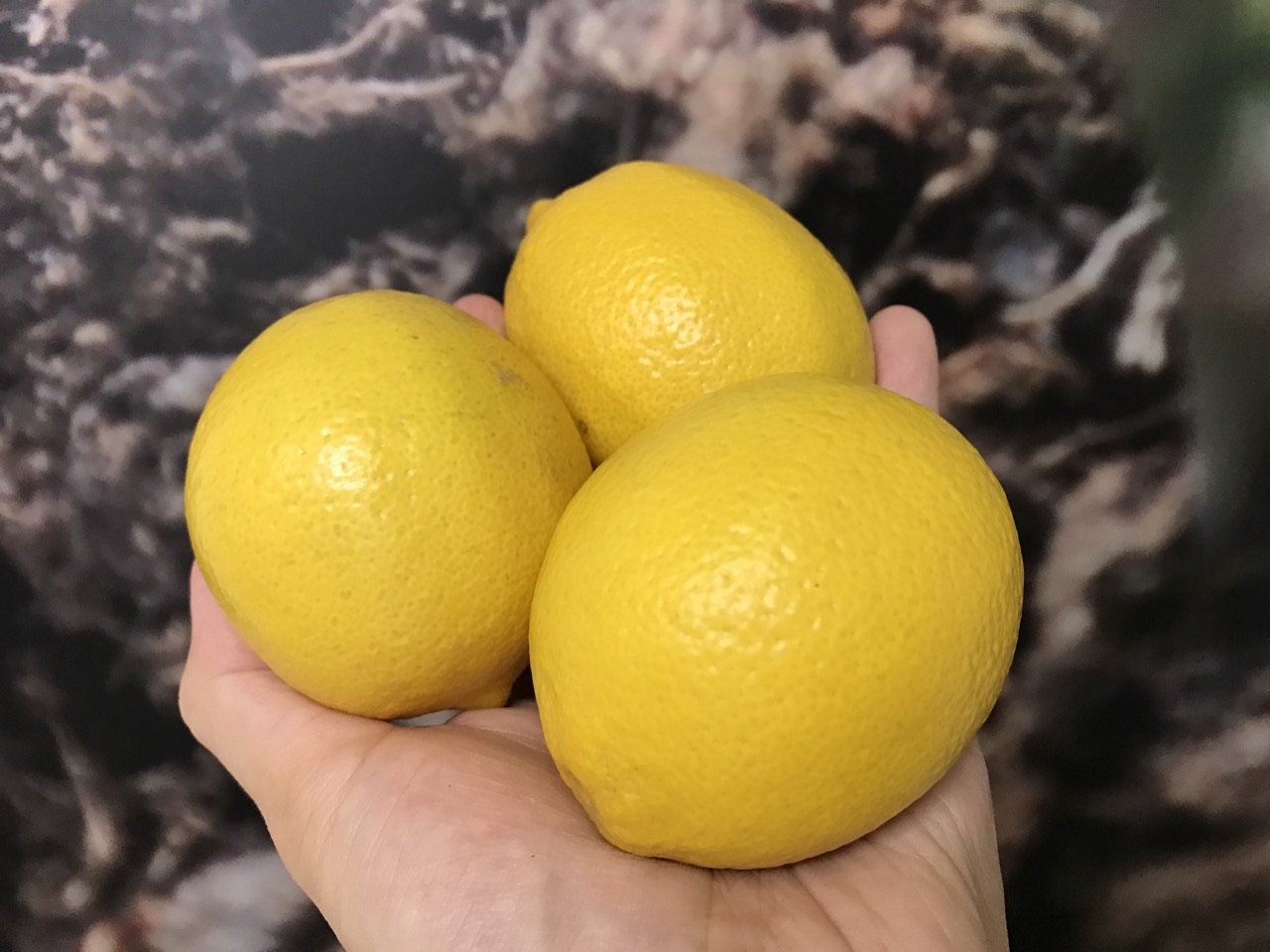 蜂蜜柠檬水热量高吗？影响热量的主要是哪些因素